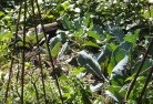 Mepunga Westorganic-gardening-3.jpg; ?>